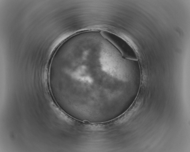 X0000112950952200909071113