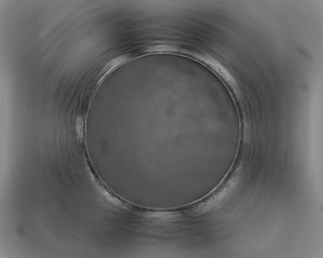 X0000112950953200909071113