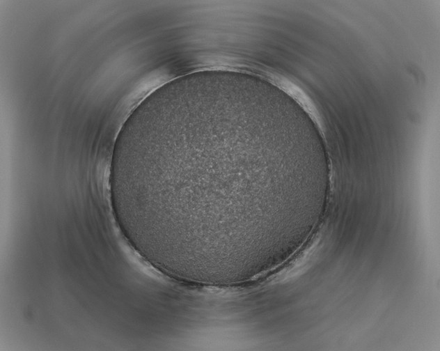 X0000112950954200909071113