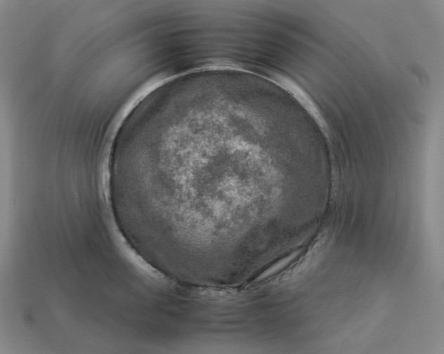 X0000112950955200909071113