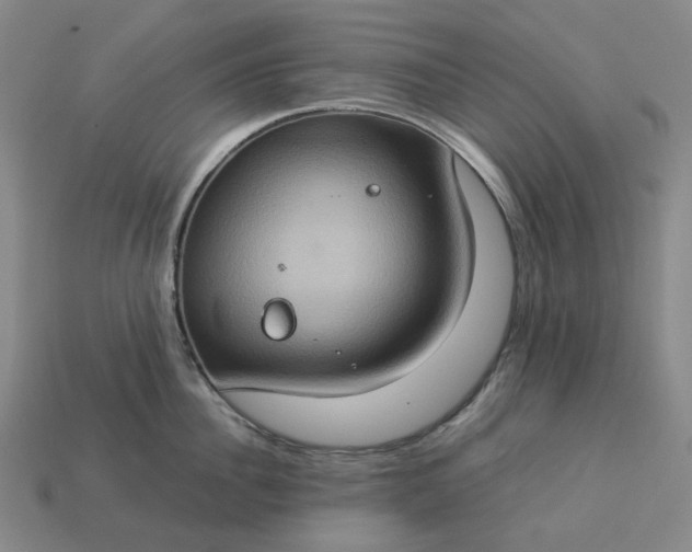 X0000112950956200909071113