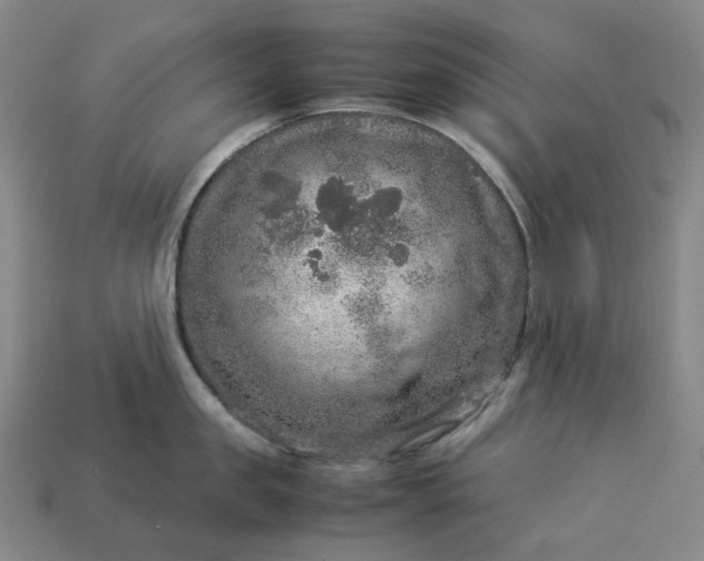 X0000112950957200909071113