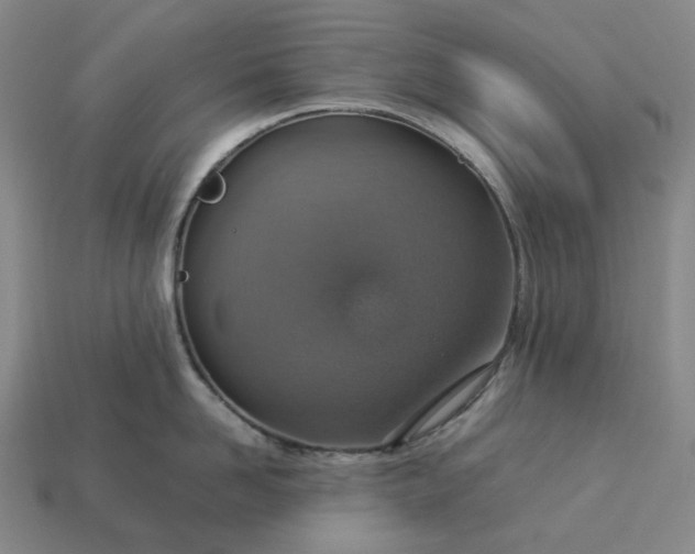 X0000112950958200909071113