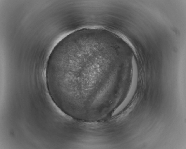 X0000112950959200909071113