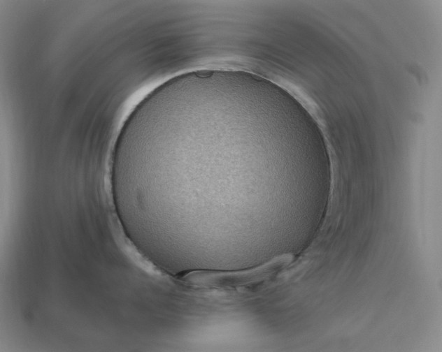 X0000112950960200909071113