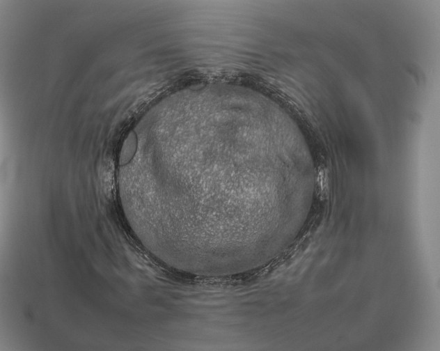 X0000112950963200909071112