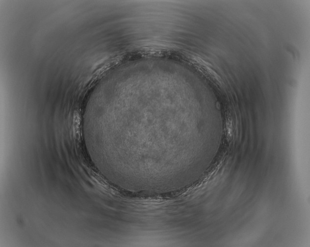 X0000112950964200909071112