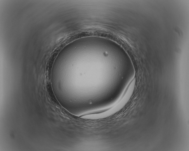 X0000112950965200909071112