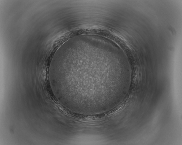 X0000112950966200909071112