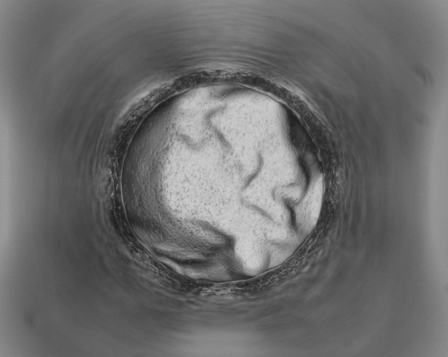 X0000112950967200909071112