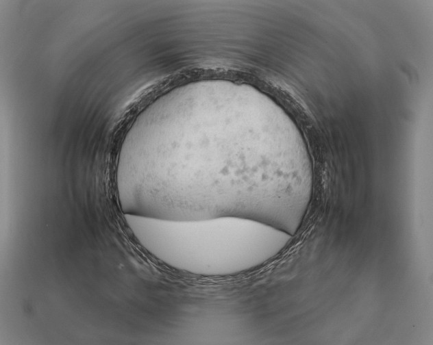 X0000112950968200909071112