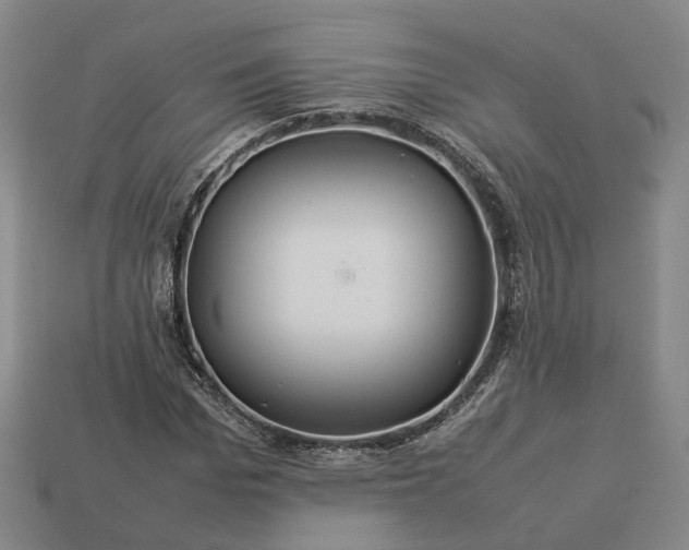 X0000112950969200909071112