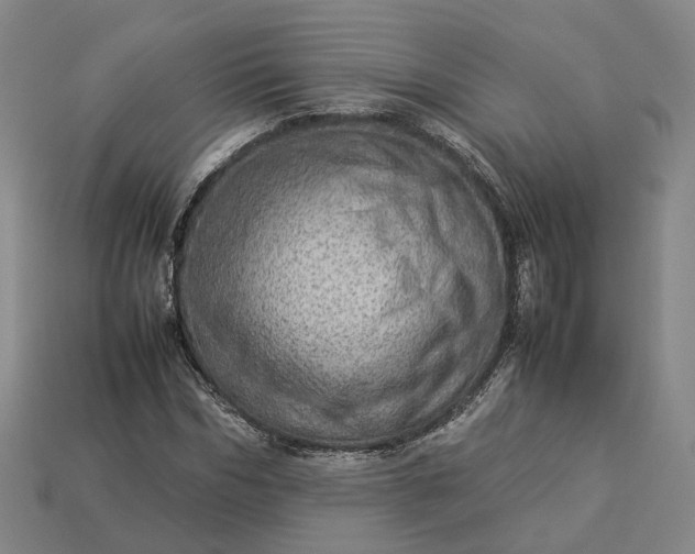 X0000112950970200909071112