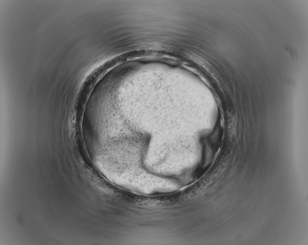 X0000112950971200909071112