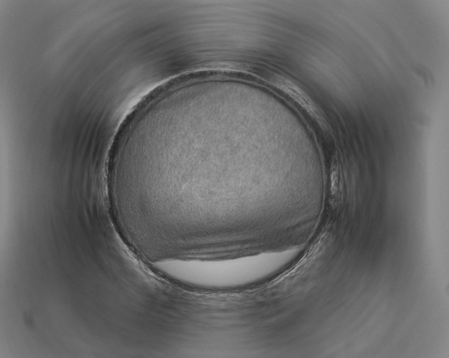 X0000112950972200909071112