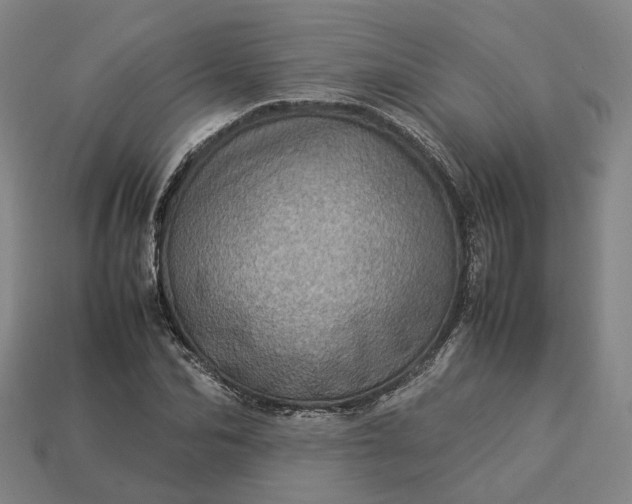 X0000112950974200909071112