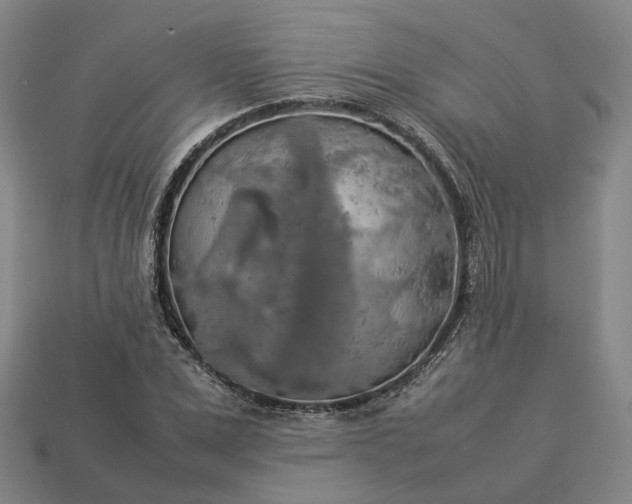 X0000112950975200909071112