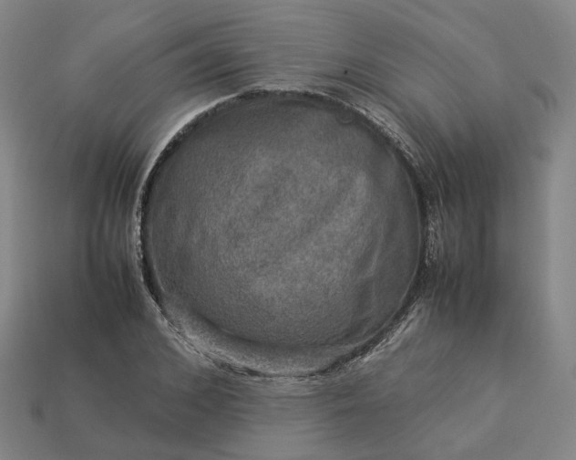 X0000112950976200909071112