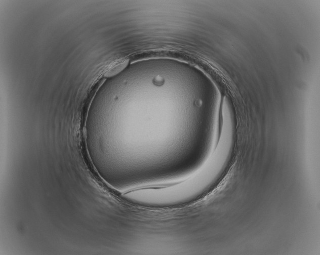 X0000112950977200909071112