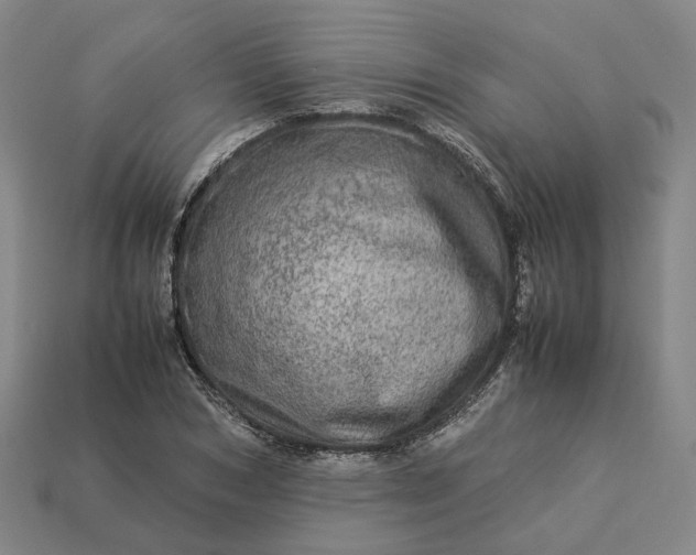 X0000112950978200909071112