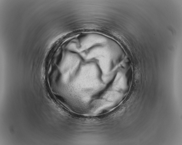 X0000112950979200909071112