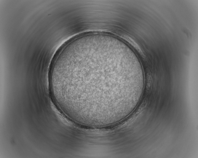 X0000112950980200909071112