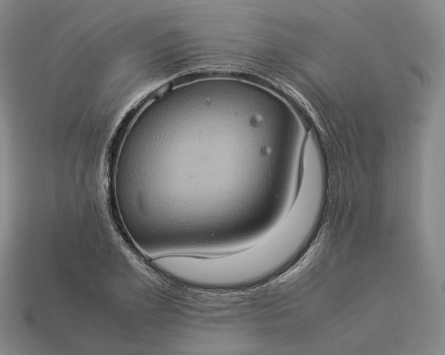 X0000112950981200909071112