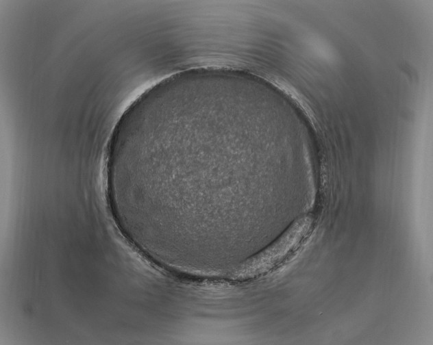 X0000112950983200909071112