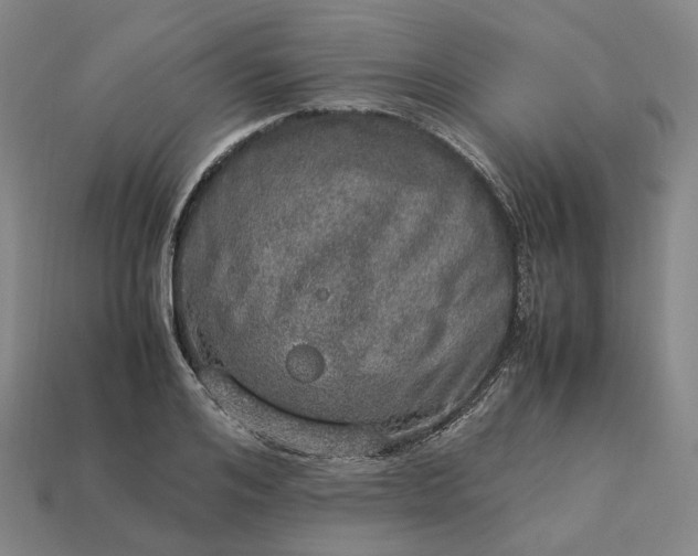 X0000112950984200909071112