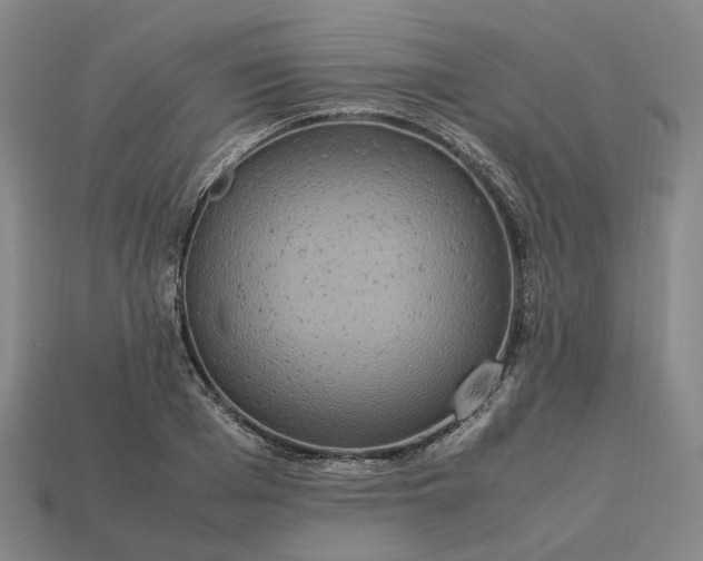 X0000112950985200909071112