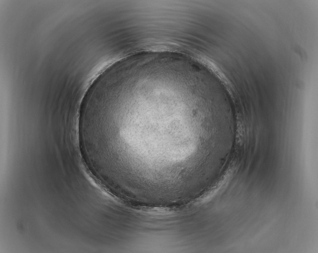 X0000112950986200909071112