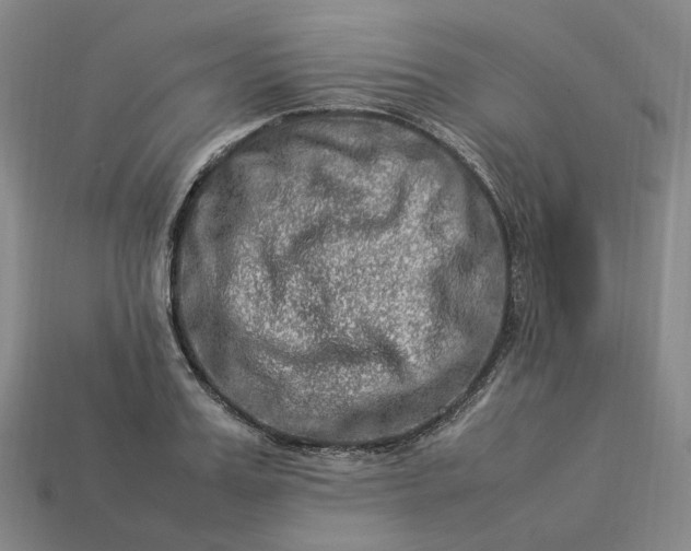 X0000112950987200909071112