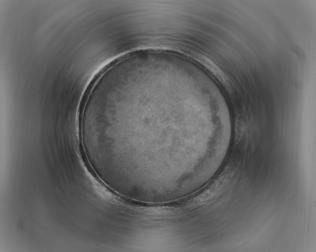 X0000112950988200909071112