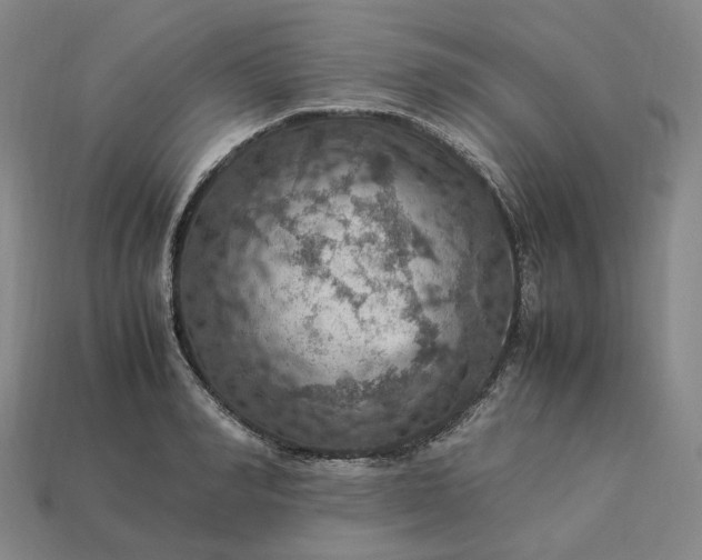 X0000112950990200909071112