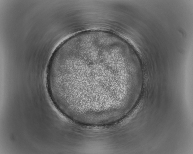 X0000112950991200909071112