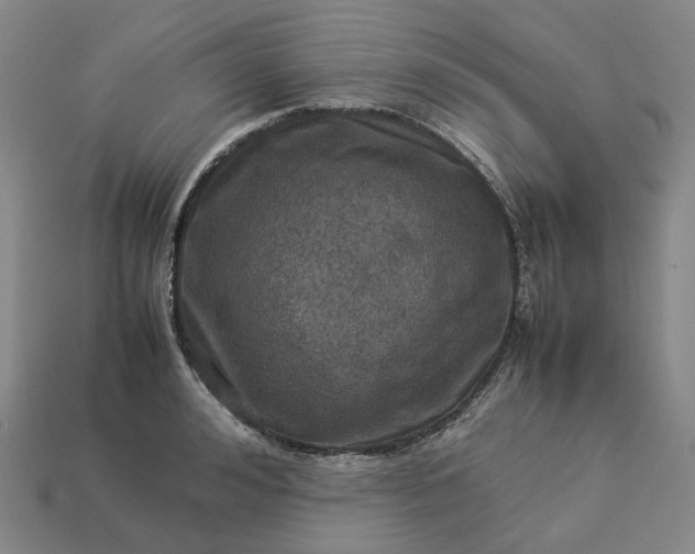 X0000112950992200909071112