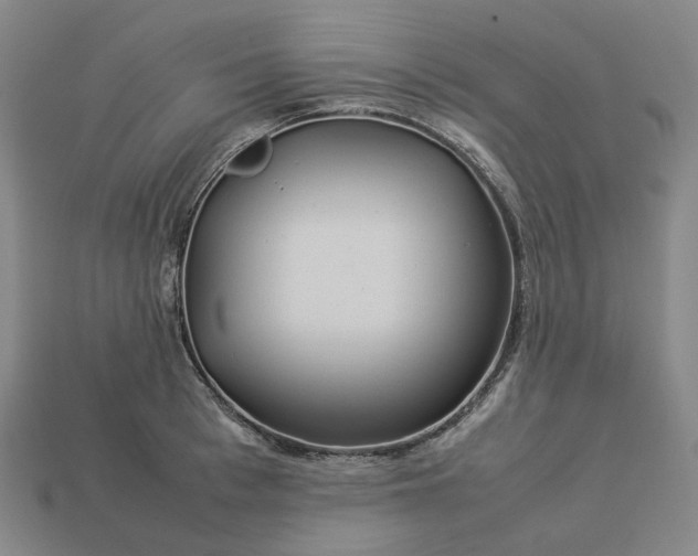 X0000112950993200909071112