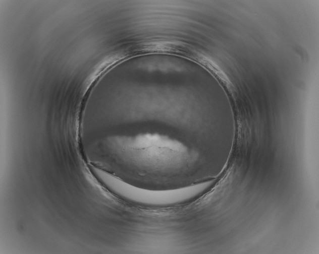 X0000112950994200909071112