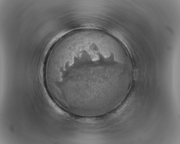 X0000112950995200909071112