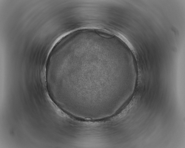 X0000112950996200909071112