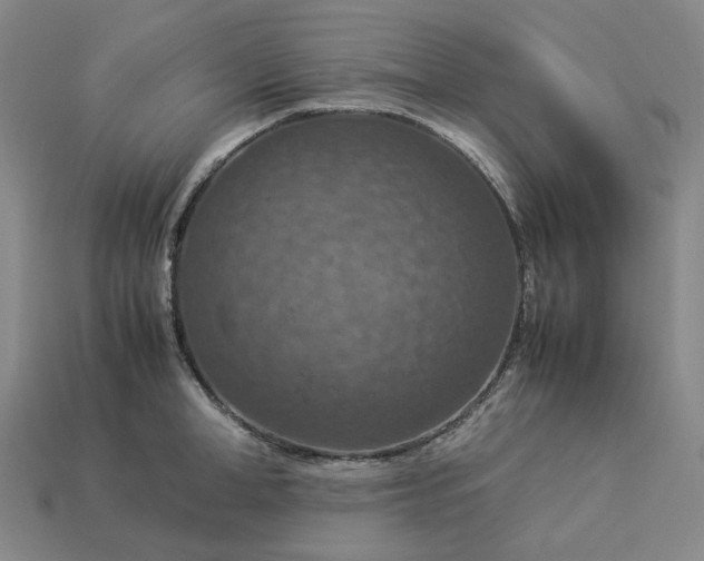 X0000112950998200909071112