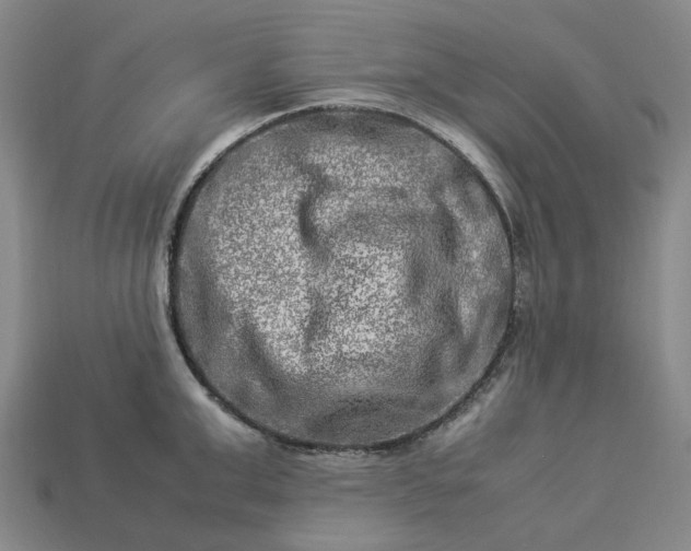 X0000112950999200909071112