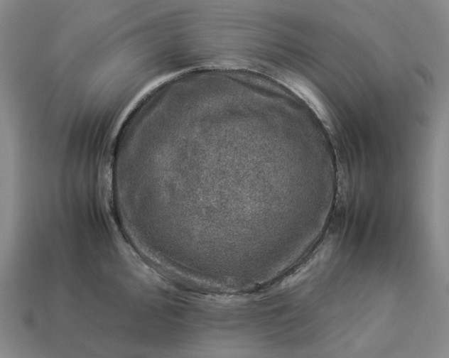 X0000112951000200909071112