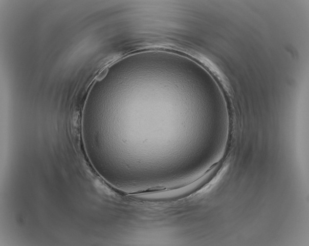 X0000112951001200909071112