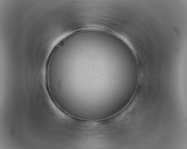 X0000112951003200909071112