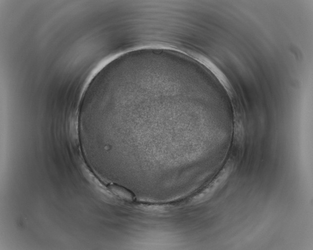 X0000112951004200909071112