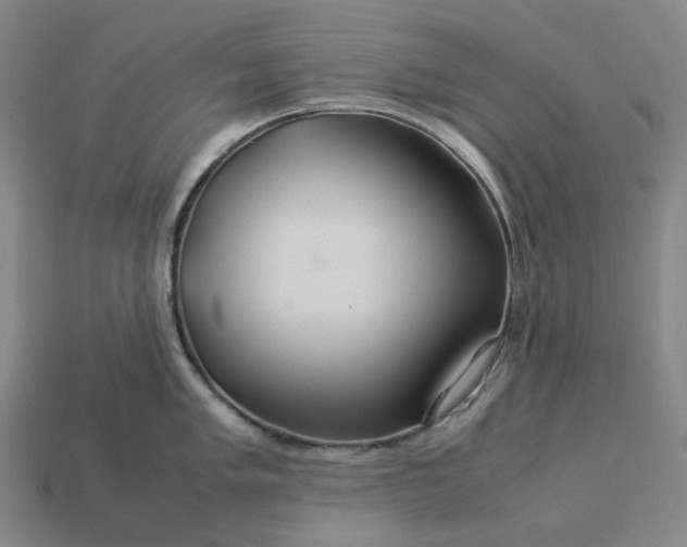 X0000112951005200909071112