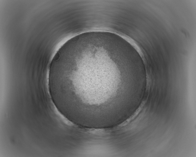 X0000112951006200909071112