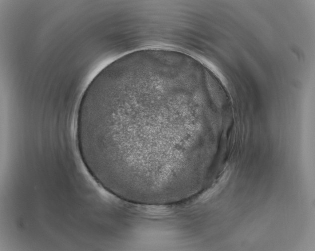 X0000112951007200909071112