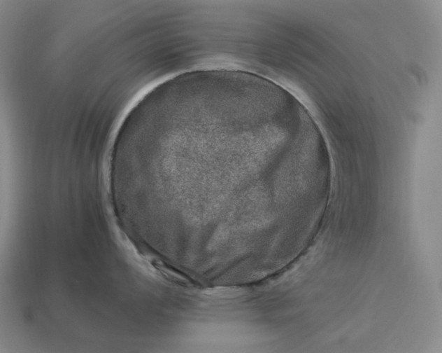 X0000112951008200909071111